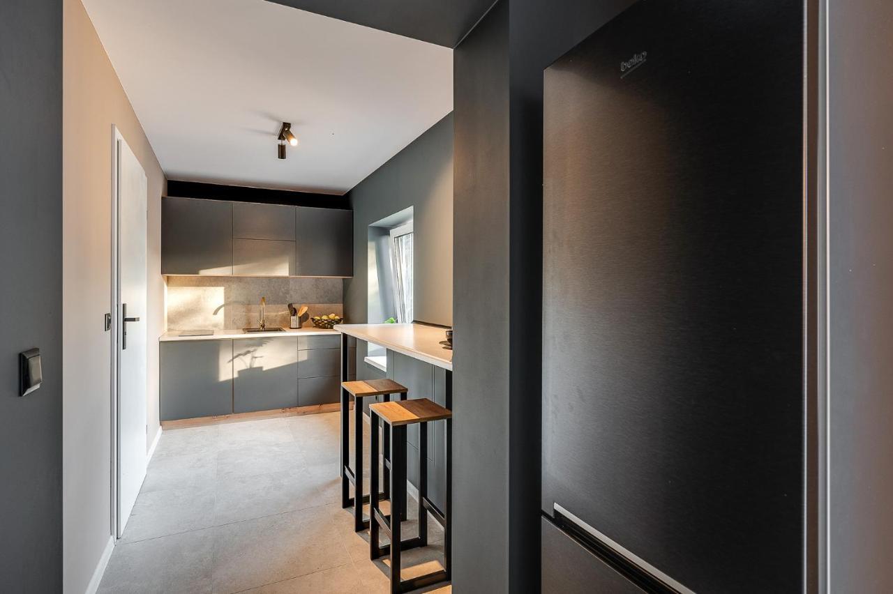 Loft House Apartment Studio Z Ogrodkiem 3 Rybnik  Esterno foto